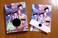 eroge6